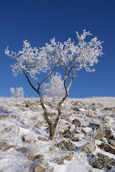 Similar image 442786