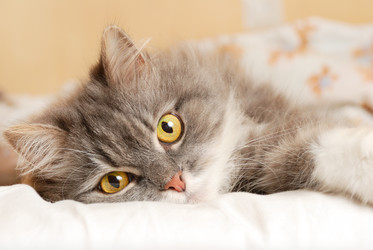 Similar image 442792