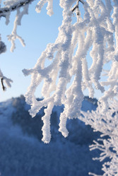 Similar image 442803