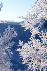 Similar image 442809