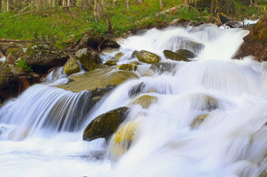 Similar image 442898