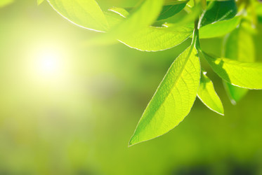 Similar image 442913