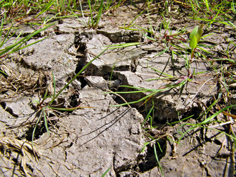 Similar image 442922