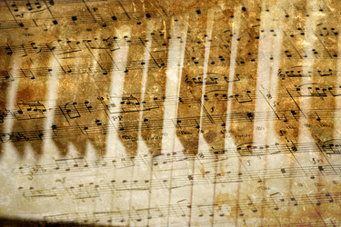 Similar image 442942