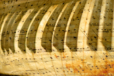 Similar image 442949