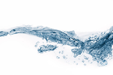 Similar image 442962