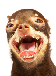 Similar image 442968