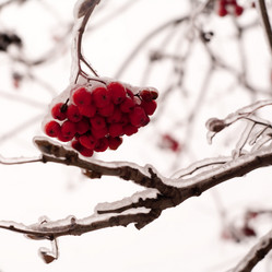 Similar image 443028