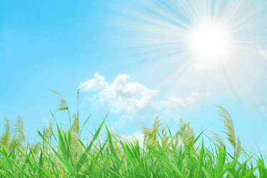 Similar image 443036