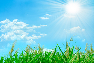 Similar image 443037