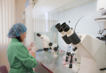 Similar image 443041