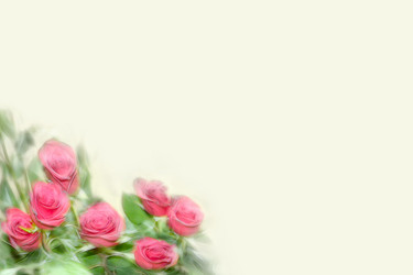 Similar image 443045