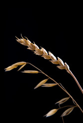 Similar image 443048