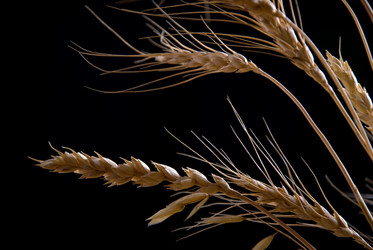 Similar image 443050