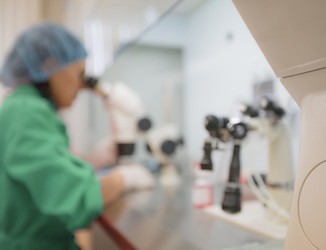 Similar image 443052