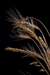 Similar image 443053