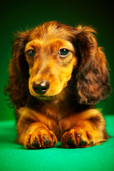 Similar image 443054