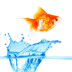 Similar image 443066