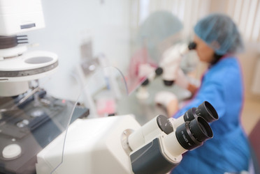 Similar image 443097