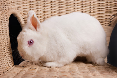 Similar image 443119