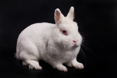 Similar image 443125