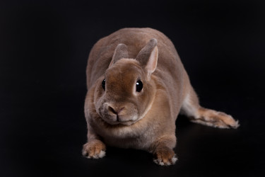 Similar image 443133