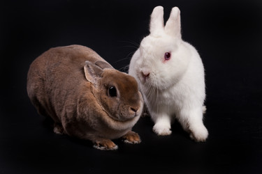 Similar image 443137