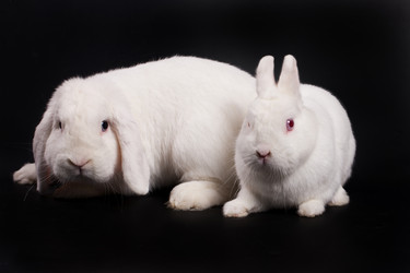 Similar image 443143