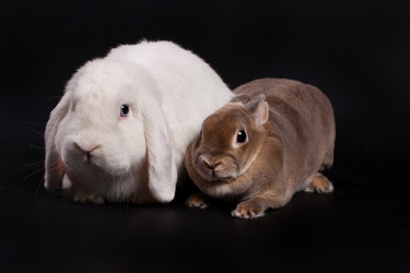 Similar image 443148