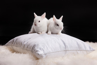 Similar image 443160