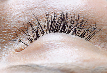 Similar image 443161