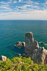 Similar image 443189