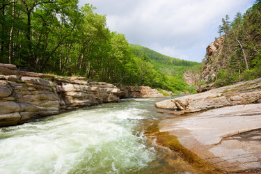 Similar image 443206