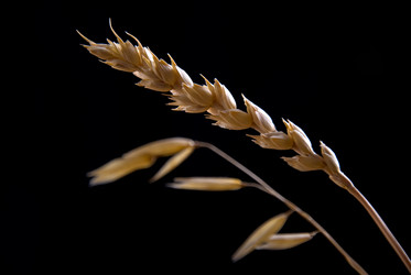 Similar image 443210