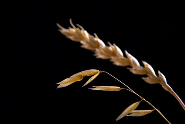 Similar image 443214