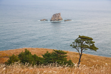 Similar image 443221