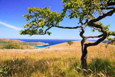 Similar image 443229