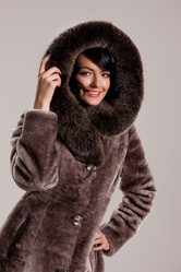 Similar image 443256