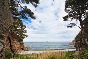 Similar image 443268