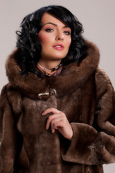 Similar image 443289