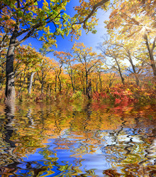 Similar image 443302