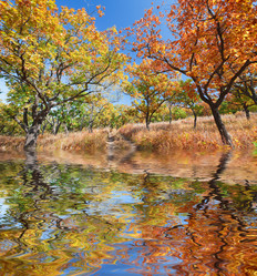 Similar image 443309