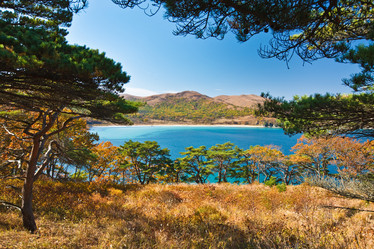 Similar image 443312