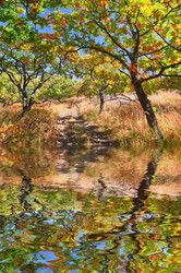 Similar image 443323