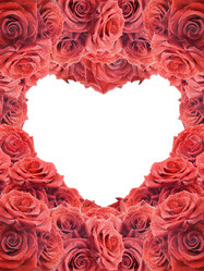 Similar image 443340