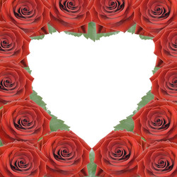 Similar image 443342