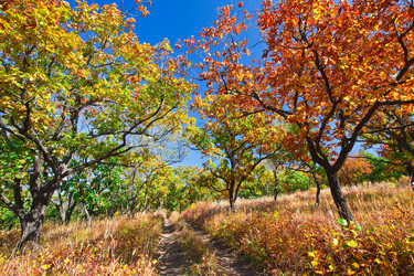 Similar image 443343