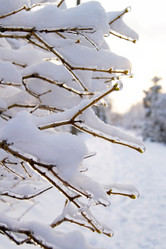 Similar image 443347