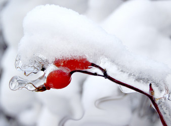 Similar image 443356