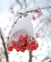 Similar image 443357